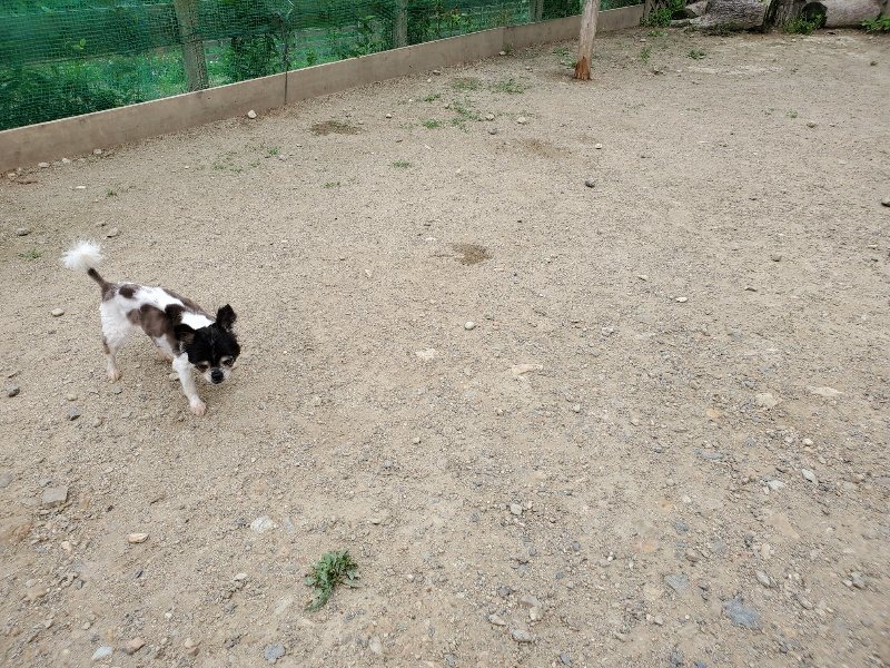 f:id:roukenhome-ann:20200604084636j:plain f:id:roukenhome-ann:20200604084636j:plain