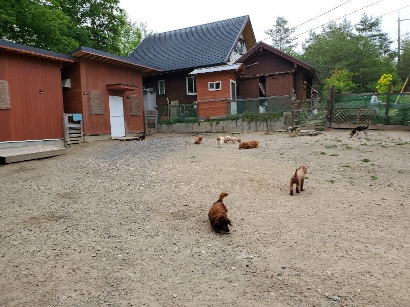 f:id:roukenhome-ann:20200604084707j:plain f:id:roukenhome-ann:20200604084707j:plain
