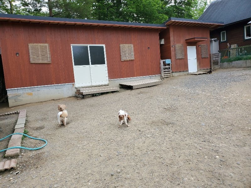 f:id:roukenhome-ann:20200604084718j:plain f:id:roukenhome-ann:20200604084718j:plain