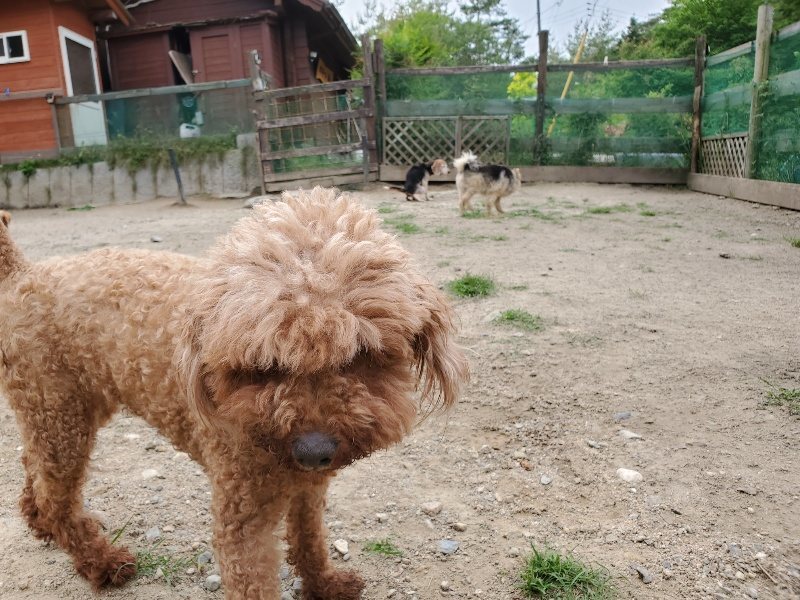 f:id:roukenhome-ann:20200604084739j:plain f:id:roukenhome-ann:20200604084739j:plain