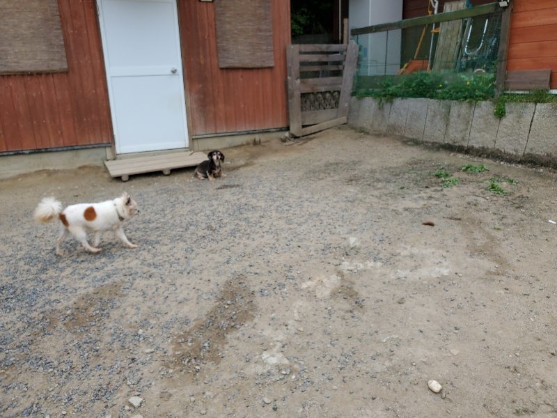 f:id:roukenhome-ann:20200604084802j:plain f:id:roukenhome-ann:20200604084802j:plain