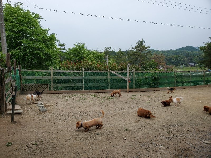 f:id:roukenhome-ann:20200604084830j:plain f:id:roukenhome-ann:20200604084830j:plain