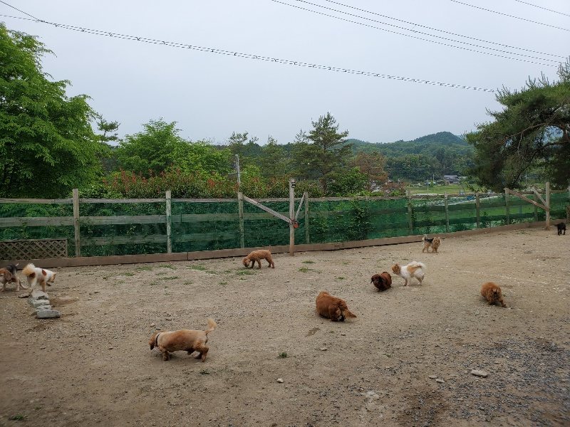 f:id:roukenhome-ann:20200604084836j:plain f:id:roukenhome-ann:20200604084836j:plain