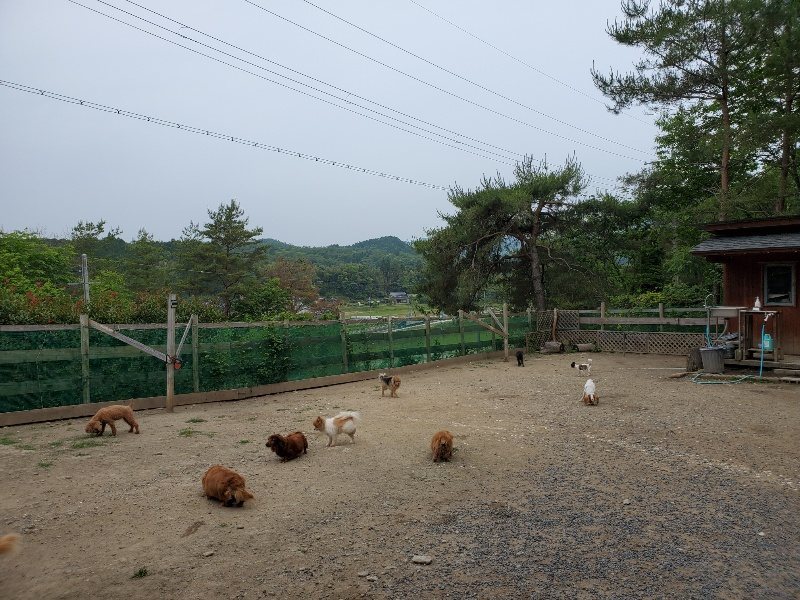 f:id:roukenhome-ann:20200604084846j:plain f:id:roukenhome-ann:20200604084846j:plain