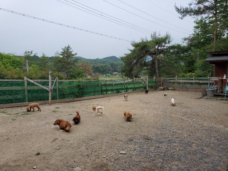 f:id:roukenhome-ann:20200604084856j:plain f:id:roukenhome-ann:20200604084856j:plain