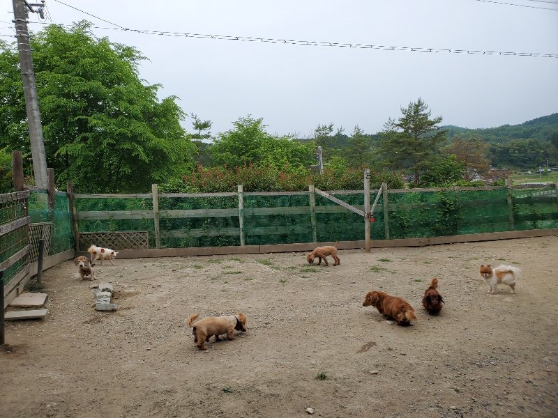 f:id:roukenhome-ann:20200604084902j:plain f:id:roukenhome-ann:20200604084902j:plain