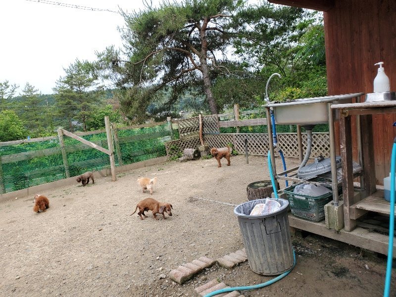 f:id:roukenhome-ann:20200604085002j:plain f:id:roukenhome-ann:20200604085002j:plain