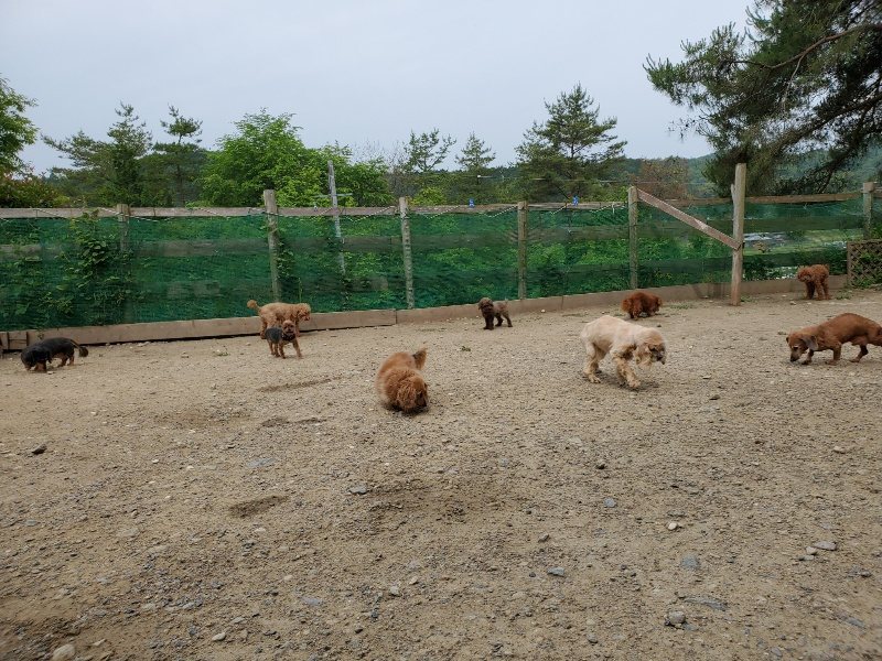 f:id:roukenhome-ann:20200604085111j:plain f:id:roukenhome-ann:20200604085111j:plain