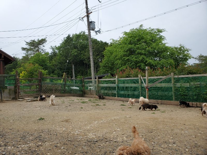 f:id:roukenhome-ann:20200604085128j:plain f:id:roukenhome-ann:20200604085128j:plain