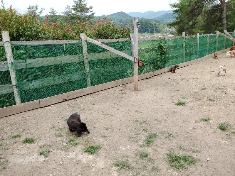 f：id：roukenhome-ann：20200604124345j：plain
