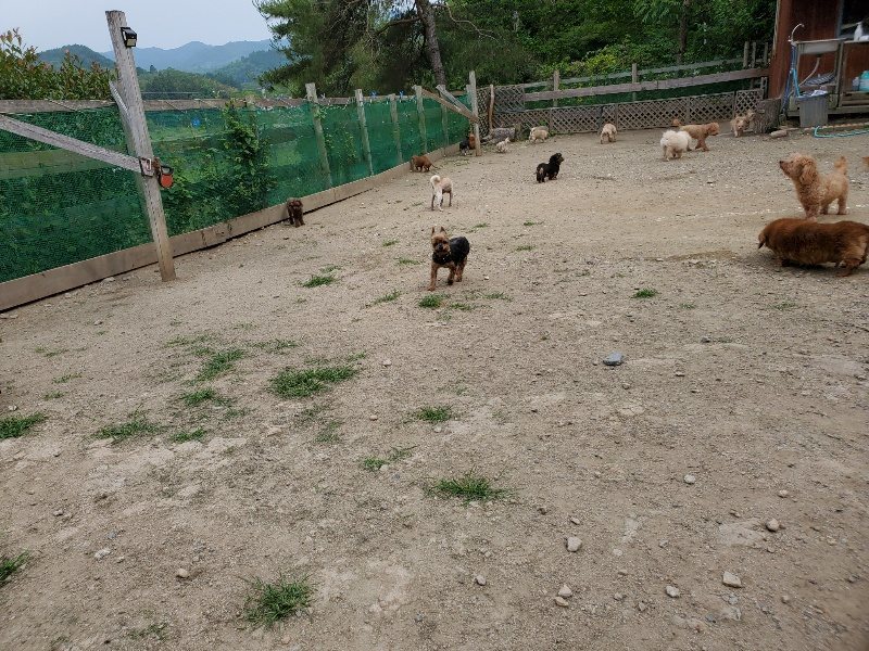 f：id：roukenhome-ann：20200604124501j：plain