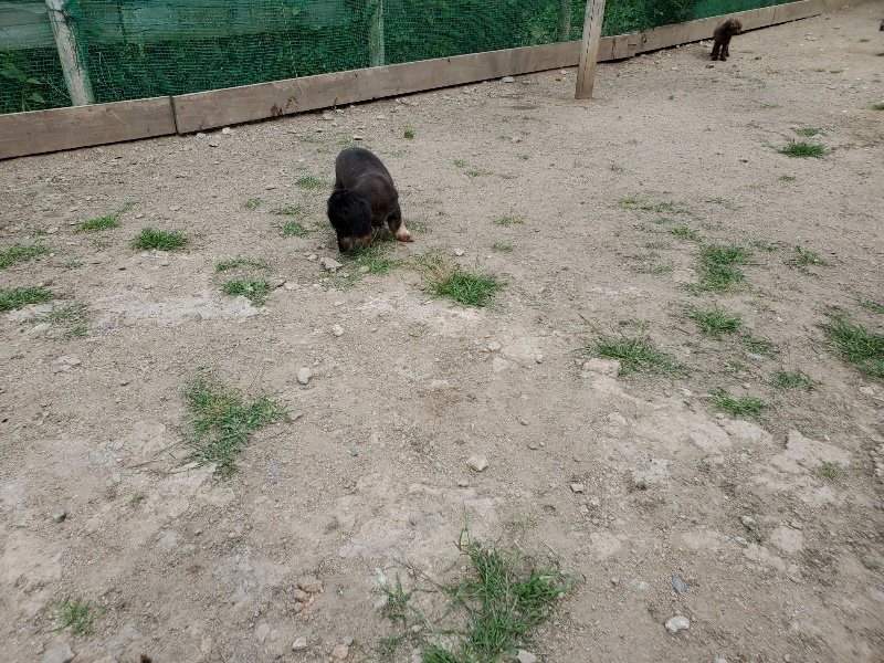 f：id：roukenhome-ann：20200604124521j：plain