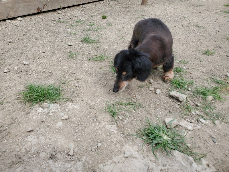 f：id：roukenhome-ann：20200604124532j：plain