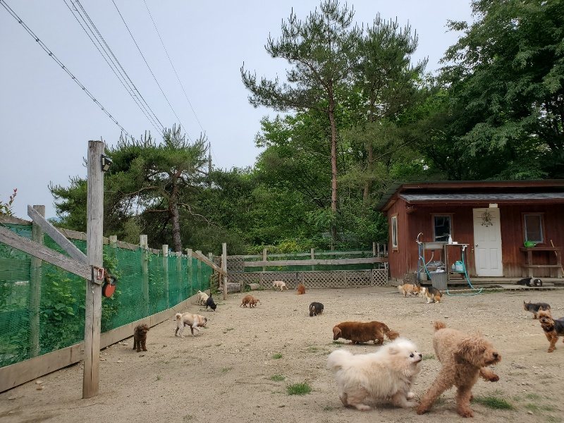 f：id：roukenhome-ann：20200604124619j：plain