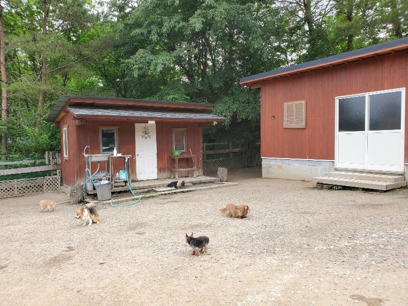 f：id：roukenhome-ann：20200604124637j：plain
