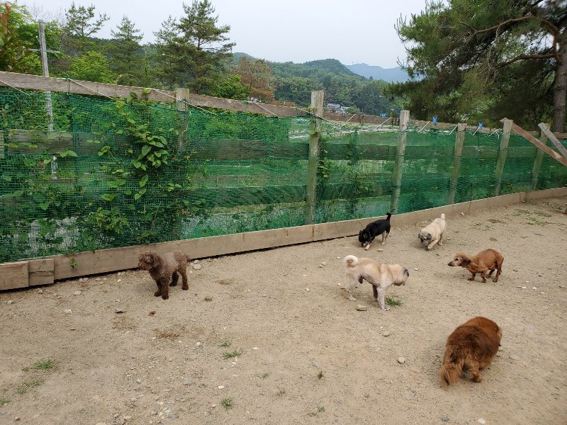 f：id：roukenhome-ann：20200604124653j：plain