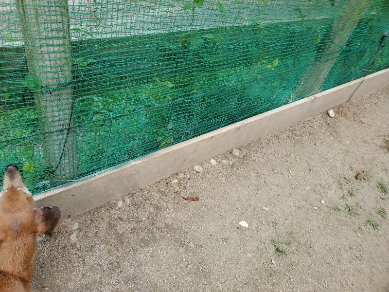 f：id：roukenhome-ann：20200604124800j：plain