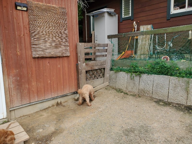 f：id：roukenhome-ann：20200604125107j：plain