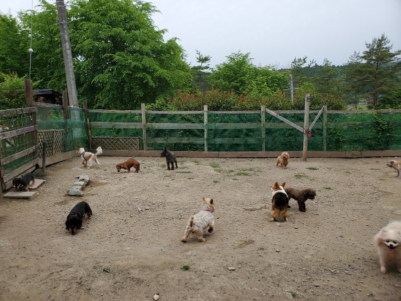 f：id：roukenhome-ann：20200604125121j：plain