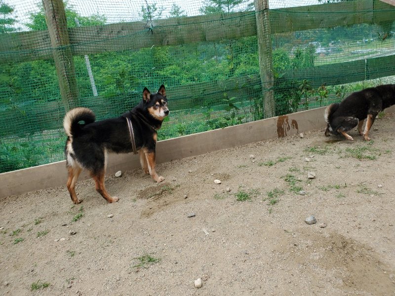f：id：roukenhome-ann：20200604125500j：plain
