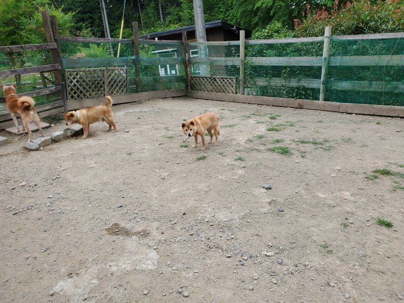 f：id：roukenhome-ann：20200604125725j：plain