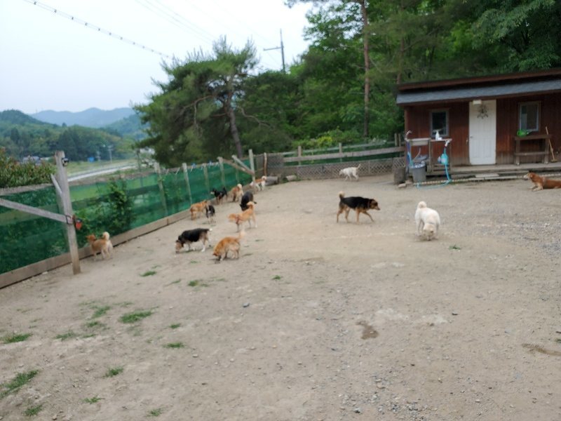 f：id：roukenhome-ann：20200604125817j：plain