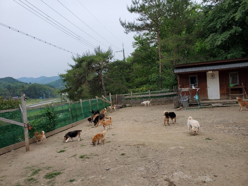 f：id：roukenhome-ann：20200604125823j：plain