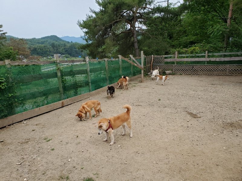 f：id：roukenhome-ann：20200604125902j：plain