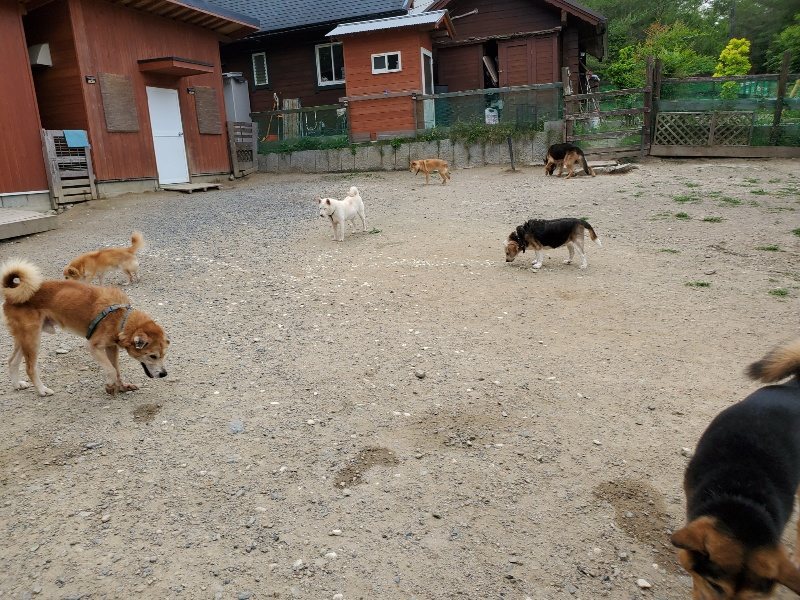 f：id：roukenhome-ann：20200604130026j：plain