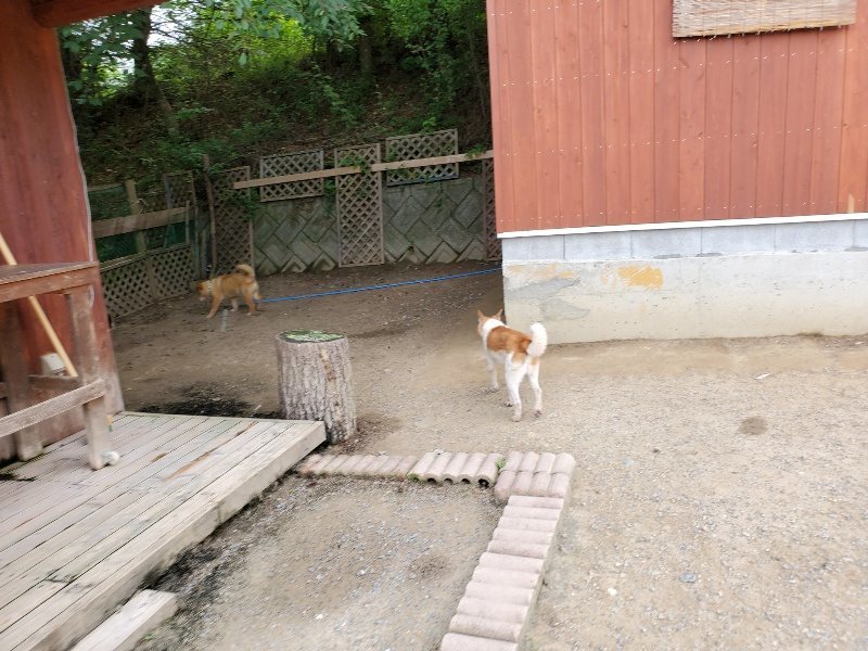 f：id：roukenhome-ann：20200604130036j：plain