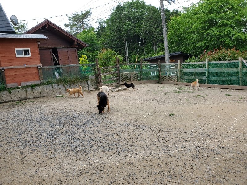 f：id：roukenhome-ann：20200604130224j：plain