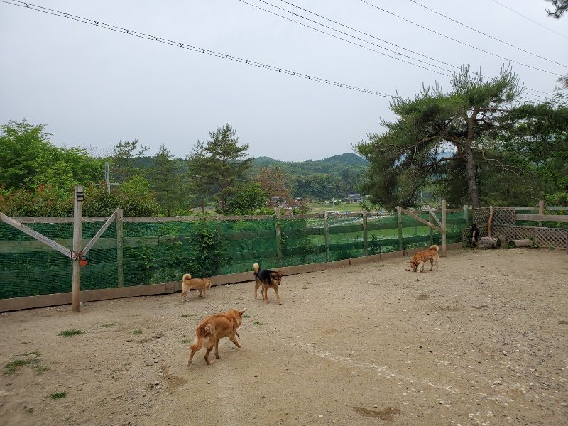 f：id：roukenhome-ann：20200604130250j：plain