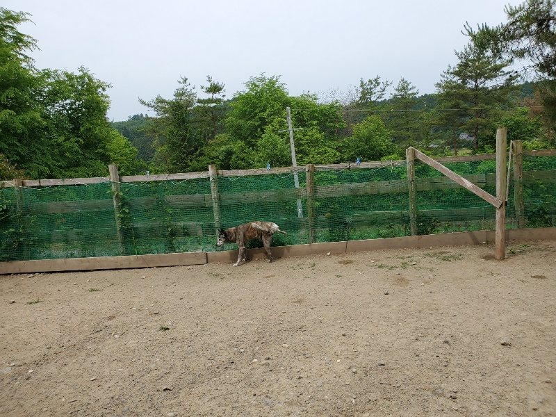 f：id：roukenhome-ann：20200604130306j：plain
