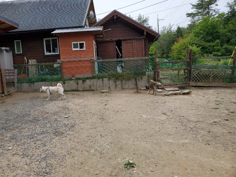 f：id：roukenhome-ann：20200604130310j：plain