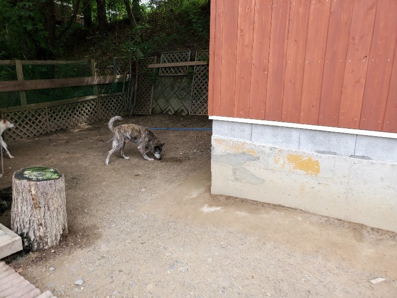 f：id：roukenhome-ann：20200604130352j：plain