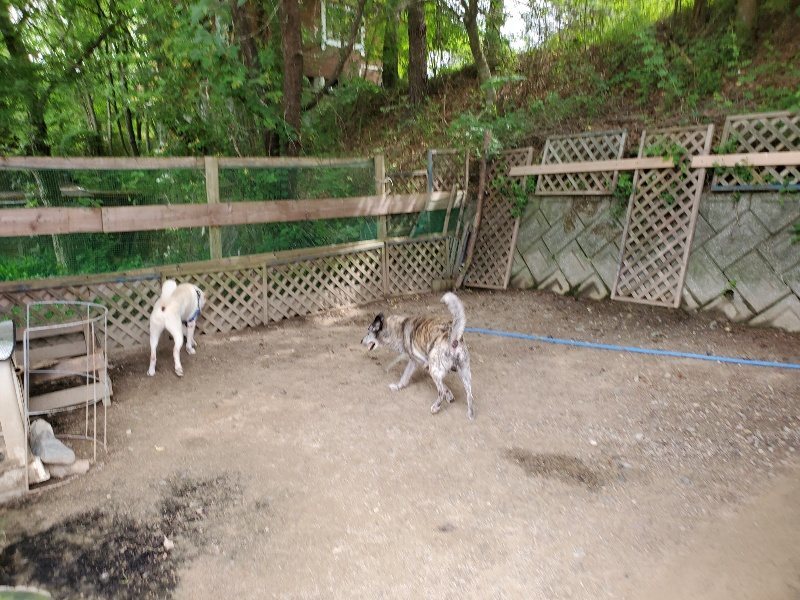 f：id：roukenhome-ann：20200604130407j：plain