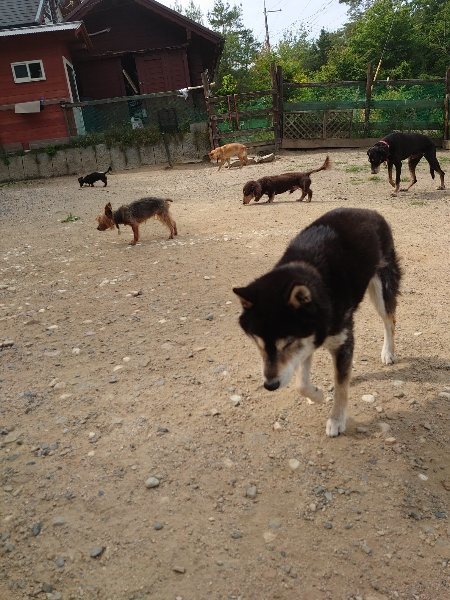 f：id：roukenhome-ann：20200604203323j：plain