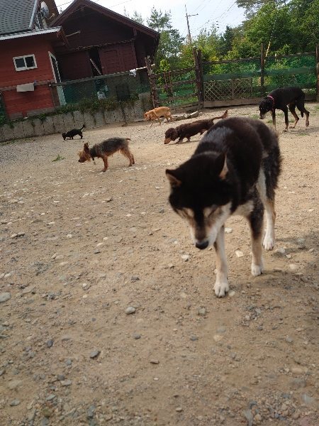 f：id：roukenhome-ann：20200604203333j：plain