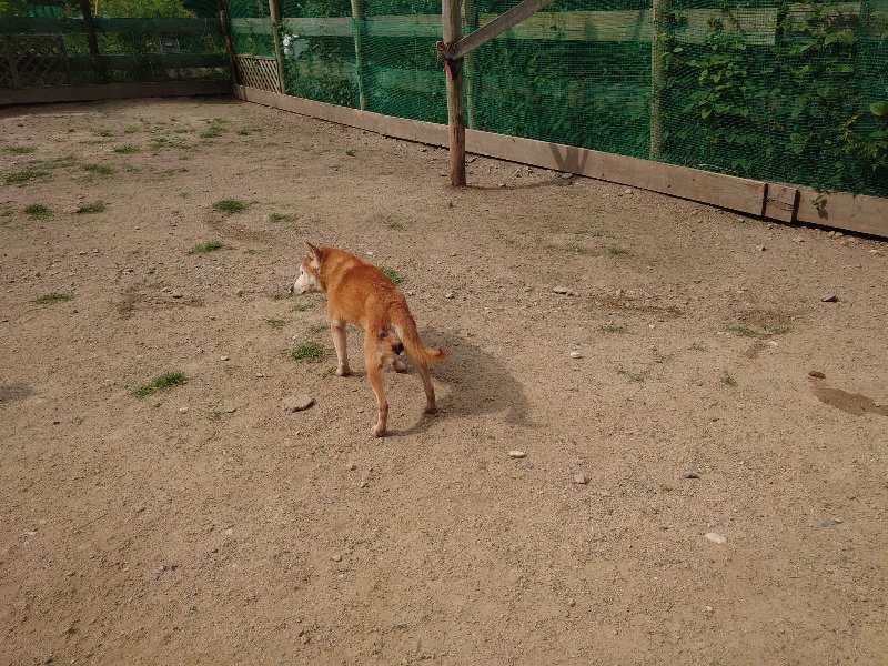 f：id：roukenhome-ann：20200604203408j：plain