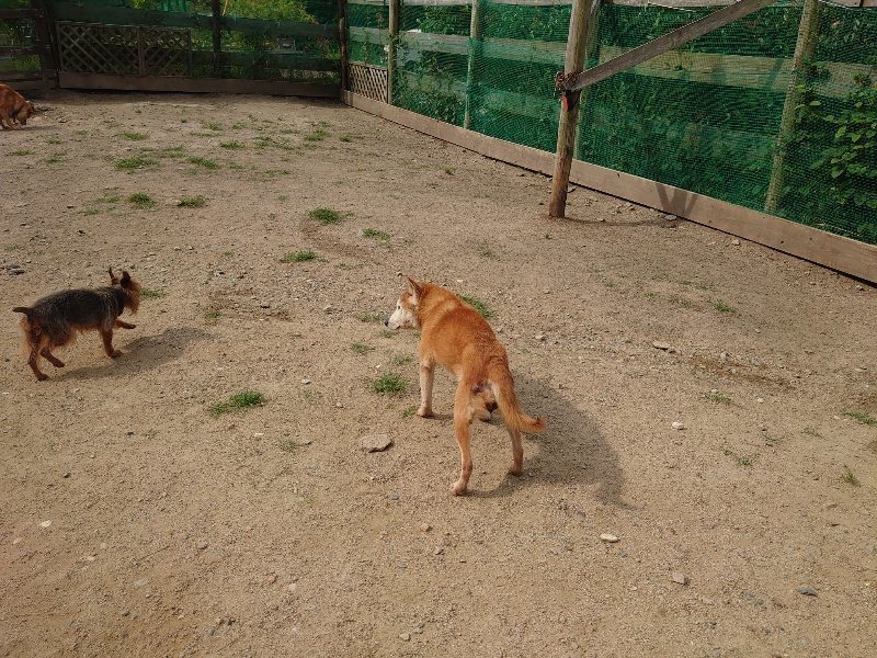 f：id：roukenhome-ann：20200604203413j：plain