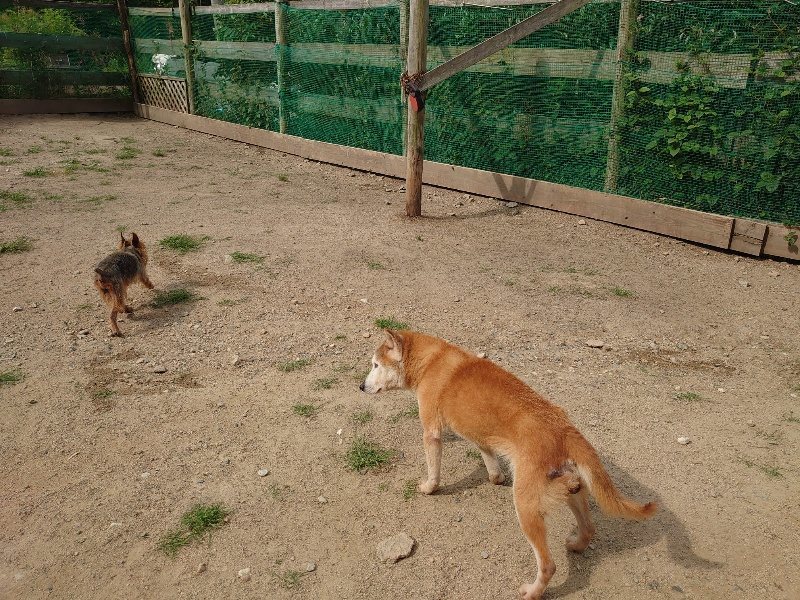 f：id：roukenhome-ann：20200604203425j：plain