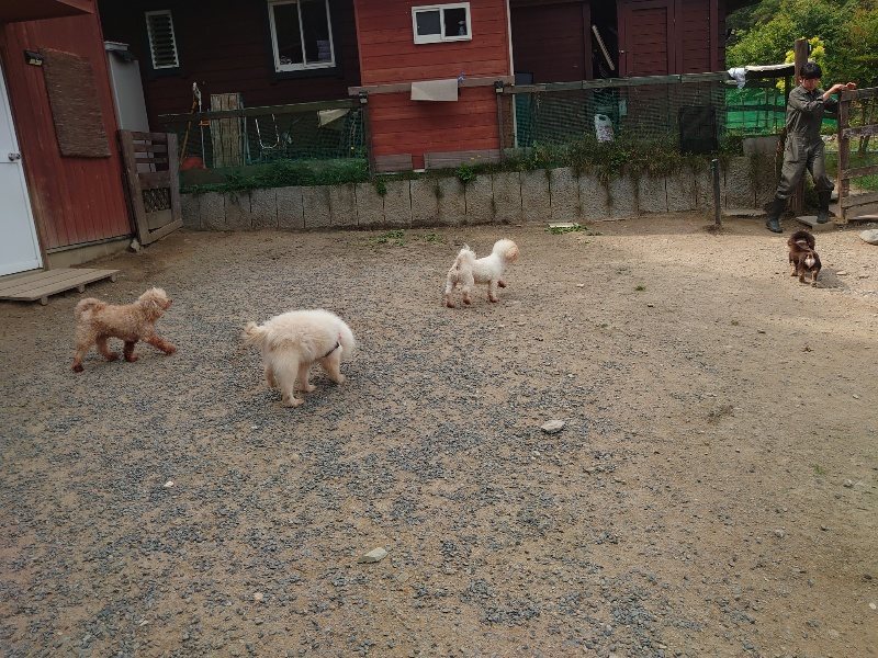 f：id：roukenhome-ann：20200604203609j：plain