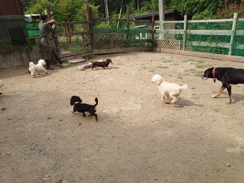 f：id：roukenhome-ann：20200604203631j：plain
