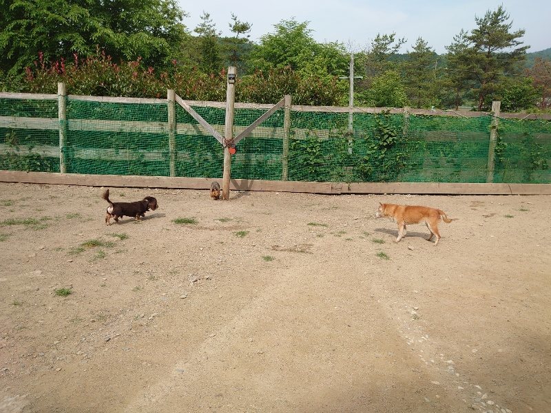 f：id：roukenhome-ann：20200604203719j：plain