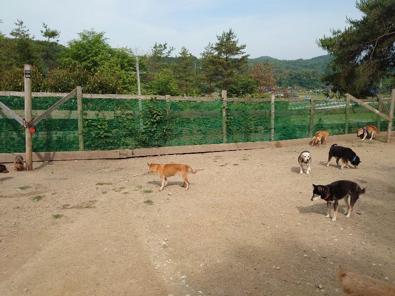 f：id：roukenhome-ann：20200604203743j：plain