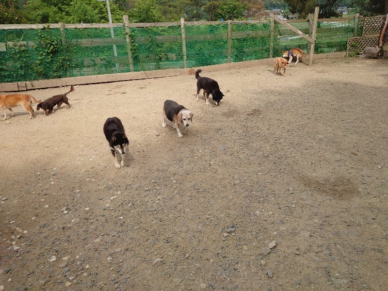 f：id：roukenhome-ann：20200604203903j：plain