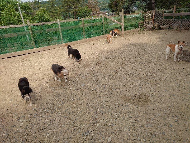 f：id：roukenhome-ann：20200604203909j：plain