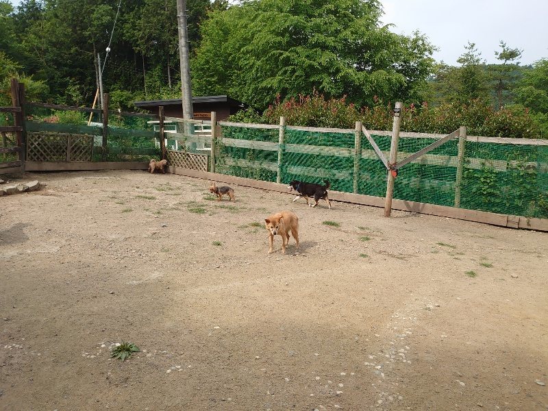 f：id：roukenhome-ann：20200604204430j：plain