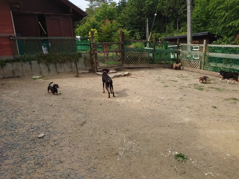 f：id：roukenhome-ann：20200604204437j：plain