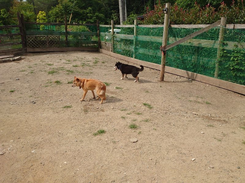 f：id：roukenhome-ann：20200604204631j：plain